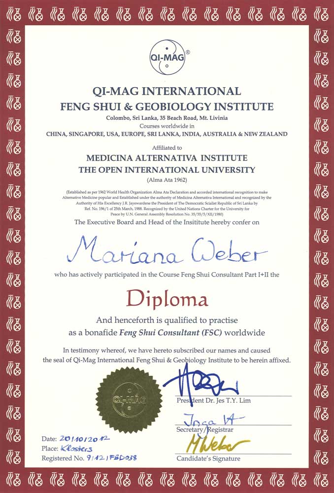 qi-mag international feng shui and geobiology institute